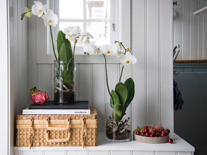 floriss-phalaenopsis-vase-glassvase-krukke-glasskrukke.jpg