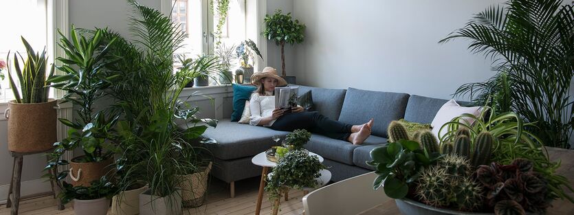 Ja til smarte planter