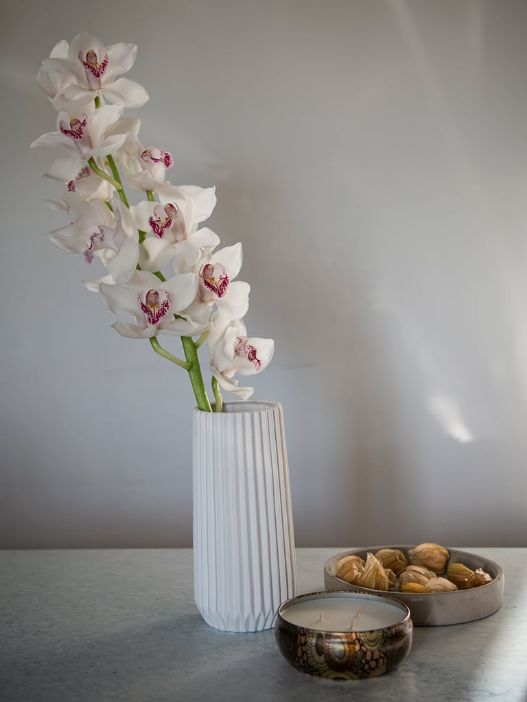 Orkide-cymbidium-01.jpg