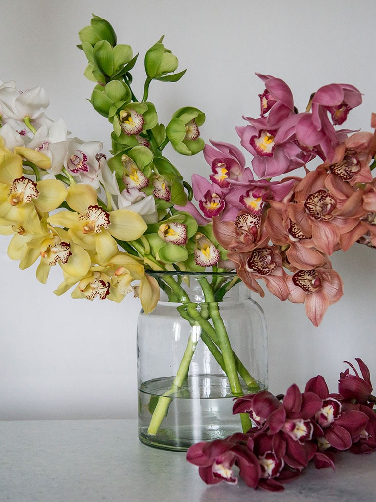 Orkide-cymbidium-03.jpg