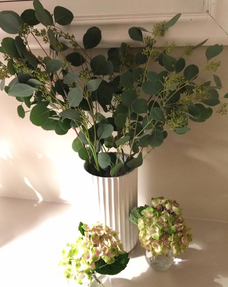 floriss-eucalyptus-hortensia-2.jpg