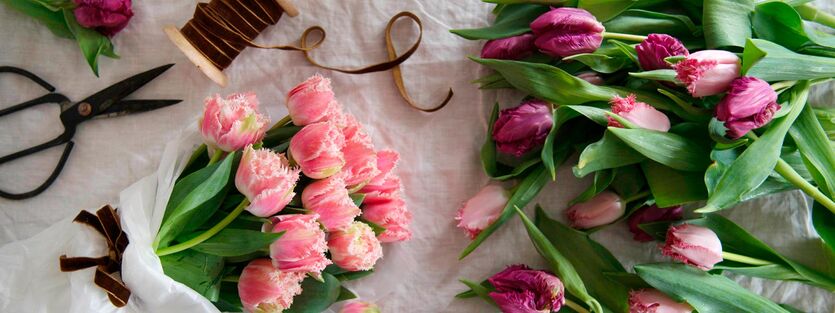 Interiør-tulipaner