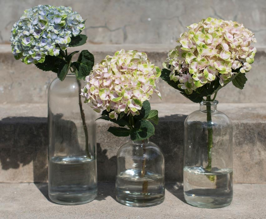 hortensia-gronn-blaa-vase-glass.jpg