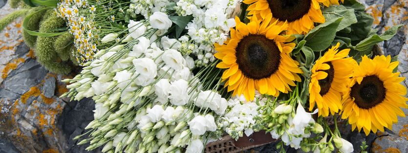 Vakre og glade sommerblomster