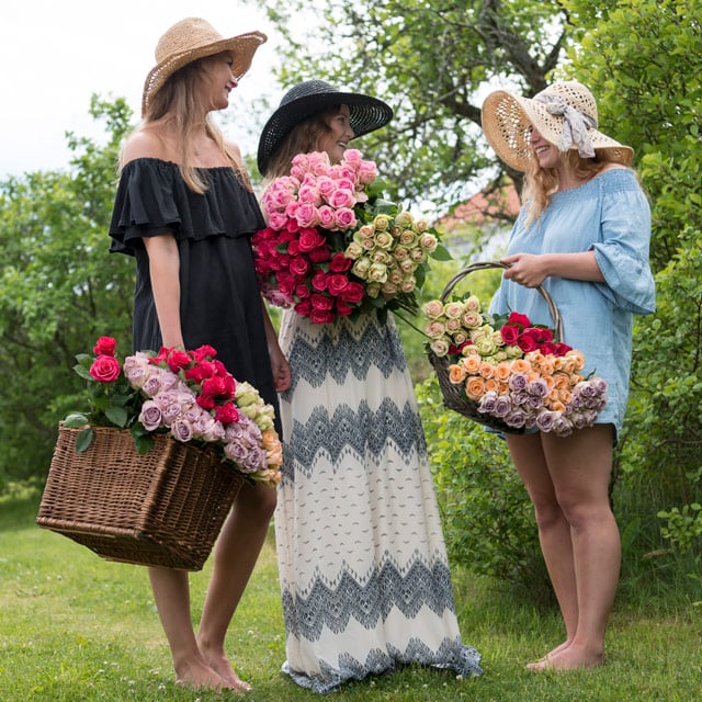 floriss-sommerblomster-favorittroser-festroser.jpg