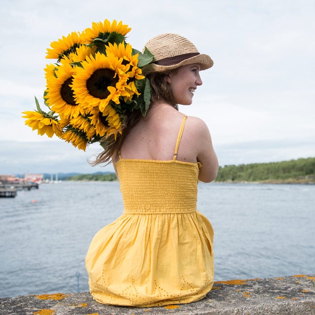 floriss-sommerblomster-solsikker.jpg