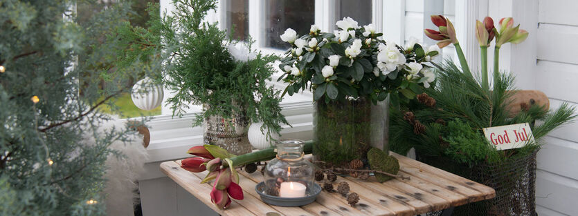 Vi elsker jul - ekte jul!