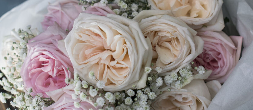 Duftroser og grenroser