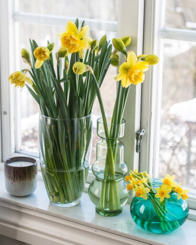 Fyll-vinduskarmen-med-deilige-paaskeliljer.jpg