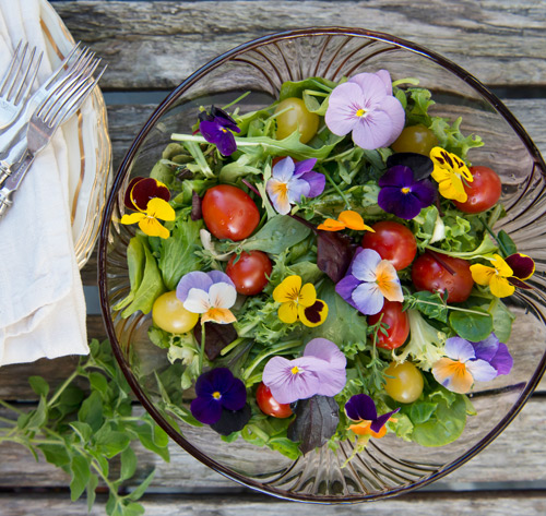 floriss-borddekking-blomster-salat-sommer-stemosalat.jpg