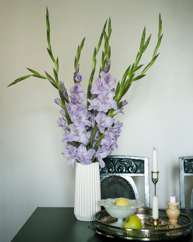 gladioler-i-vase-paa-bord.jpg