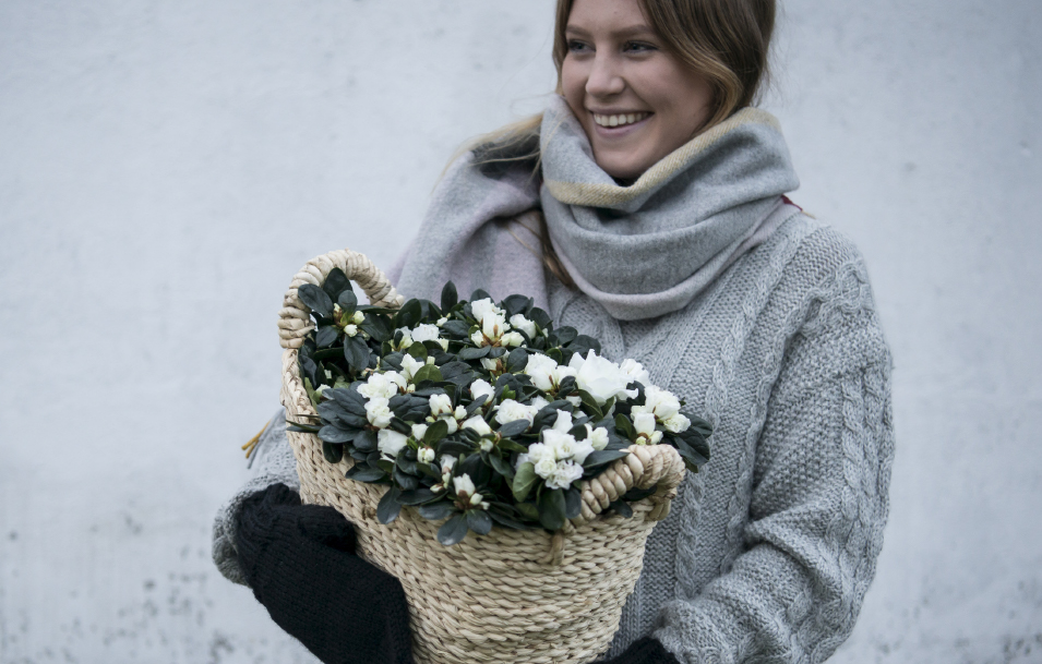 stor-kurv-med-hvite-azelea.jpg