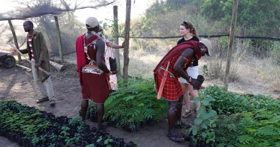 treplanting-floriss-masai-mara.jpg