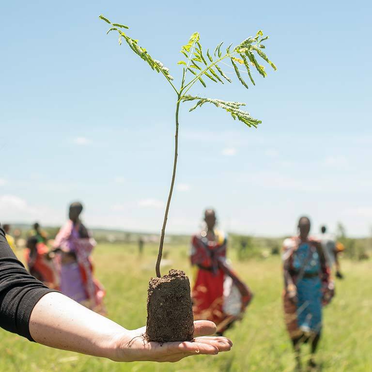 treplanting-i-kenya-tre-foer-planting.jpg