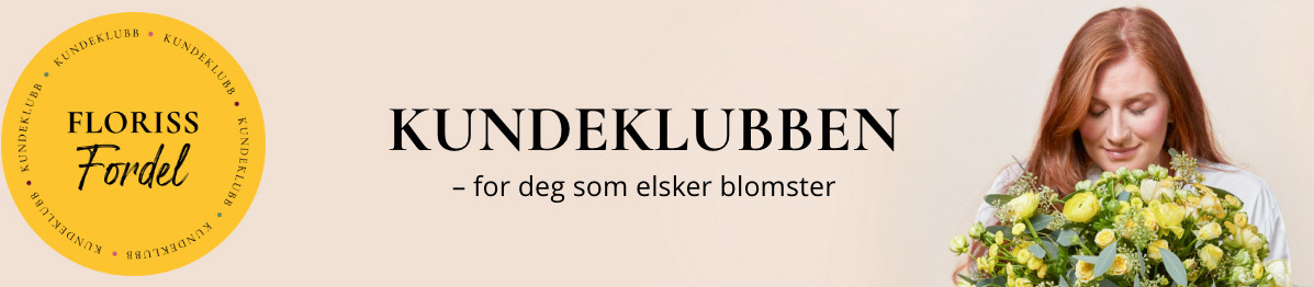 Fordeler som medlem i kundeklubben