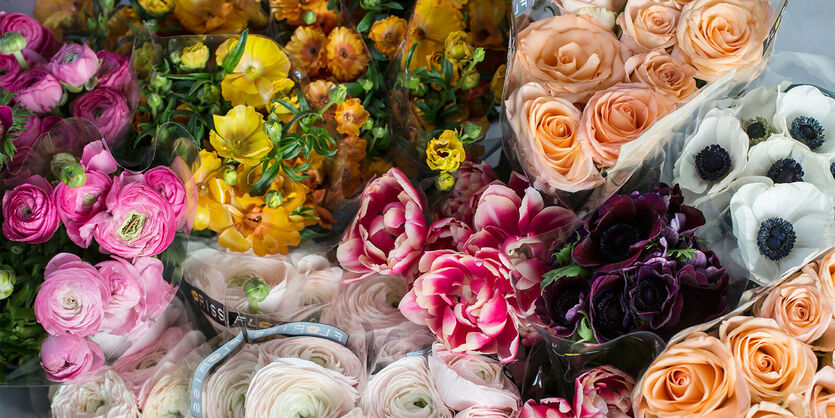 V&aring;rblomster<br/> - fargerike gledesspredere