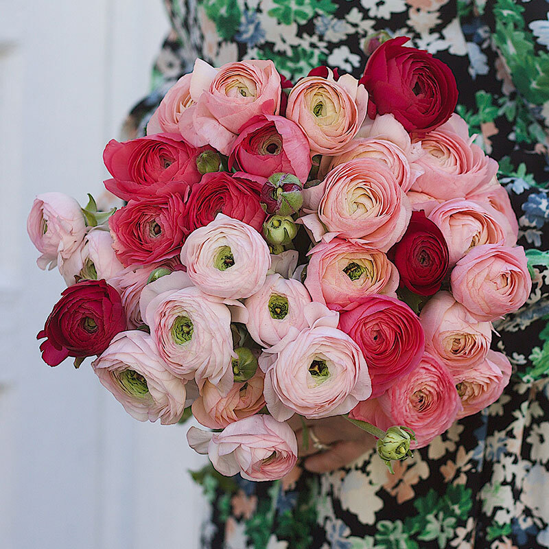 floriss-ranukler-bukett-roed-og-rosa.jpg