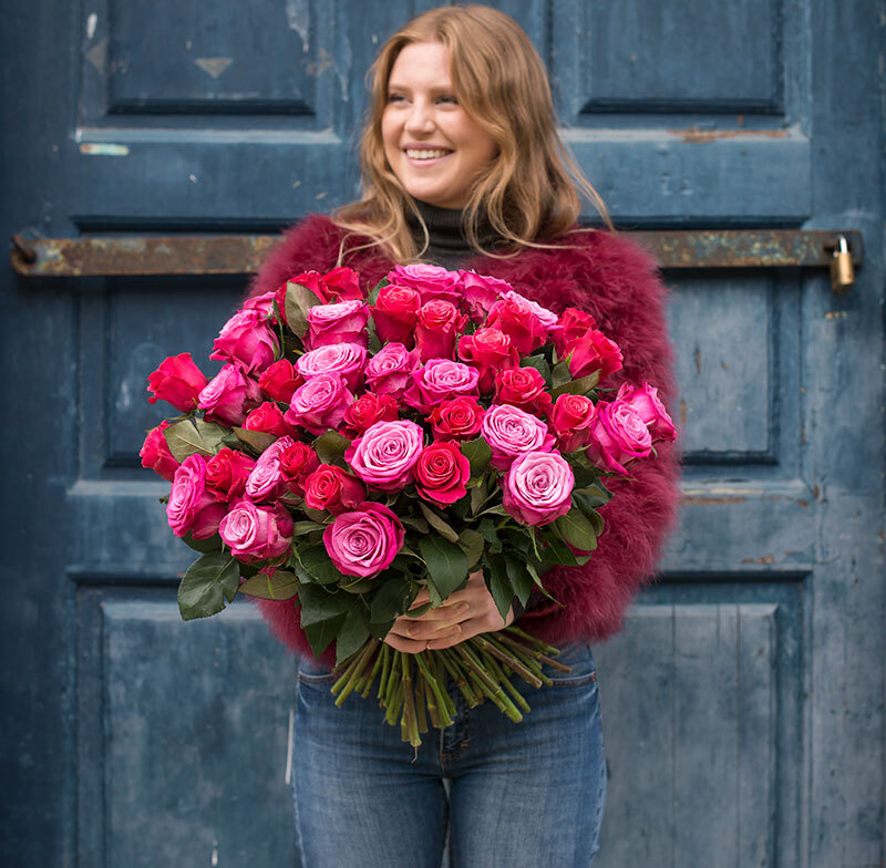 festrosene er 40 centimeter lange og selges i buketter med forskjellige farger