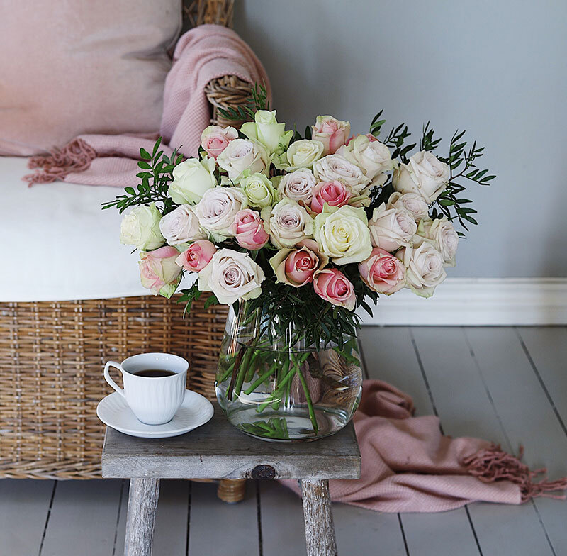 festroser er babyene til favorittrosene til floriss