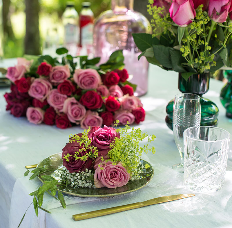 festroser - hver dag er en fest