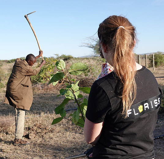 treplanting-i-kenya-masaimann-hakker-opp-jord-florissdama-ser-hvorden-det-skal-gjoeres.jpg