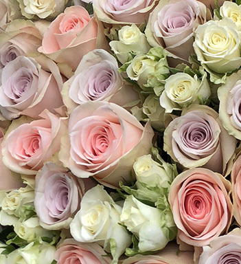 pastellfargede roser floriss 2_.jpg