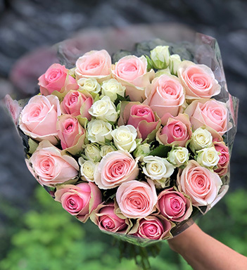 pastellfargede roser floriss 5.jpg