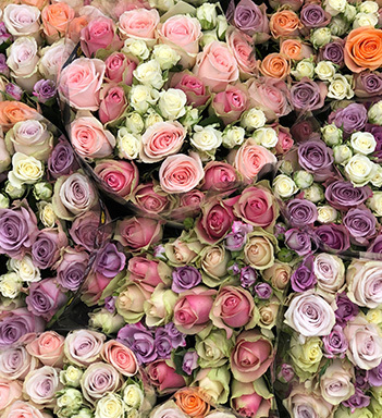 pastellfargede roser floriss 6.jpg