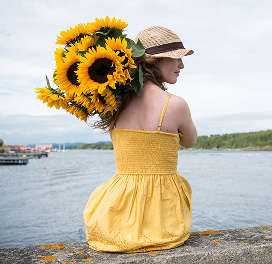 solsikker-foelelsen-av-lys-og-varme-floriss.jpg