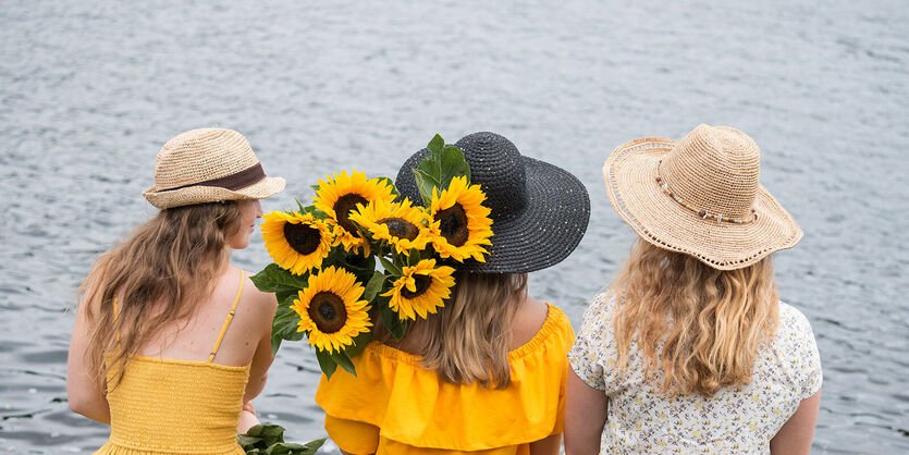 Str&aring;lende solsikker