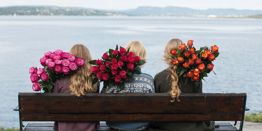 De aller fineste rosene!