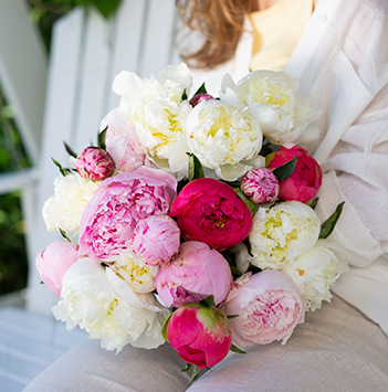 peoner-bukett-i-alle-farger-1.jpg