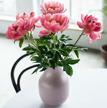 peoner-i-vase-rosa.jpg