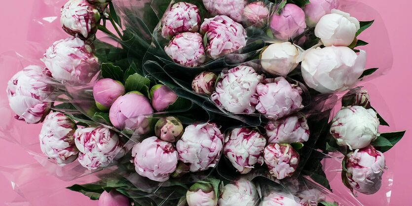 Romantiske Sarah Bernhardt-peoner