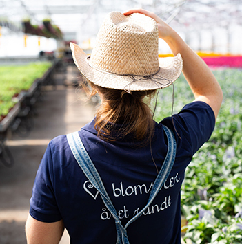 blomster-dyrket-i-norge-gartneri-dame-ser-utover-blomsterhavet.jpg