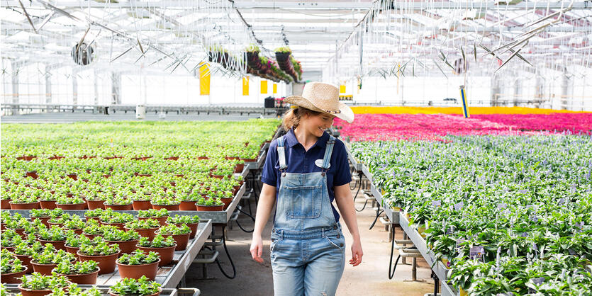 Blomster dyrket i Norge