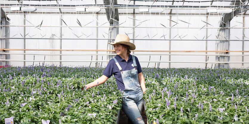 Slik velger du bievennlige blomster