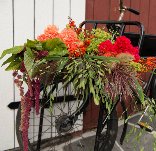 hoestdekorasjon-paa-sykkel-floriss-hoest.jpg