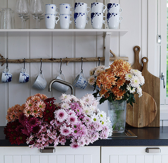 dekorasjon-paa-kjoekken-krysantemum-som-snittblomst-floriss.jpg
