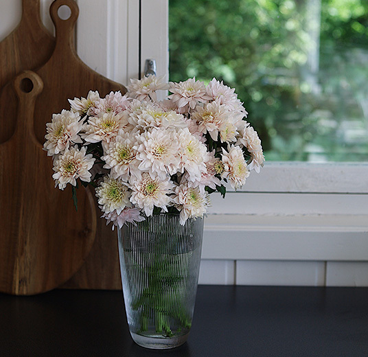 pyntet-i glassvase-krysantemum-som-snittblomst-floriss.jpg