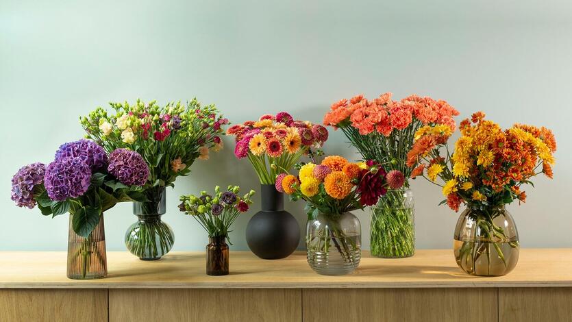 Her er høstens fineste<br/> snittblomster