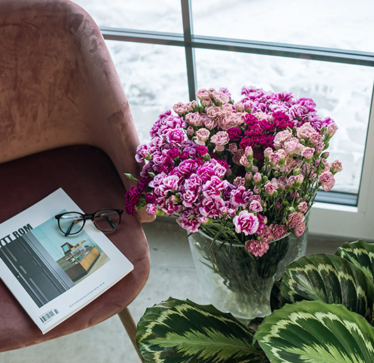 floriss-nellik-i-vinduet-er-alltid -koselig.jpg