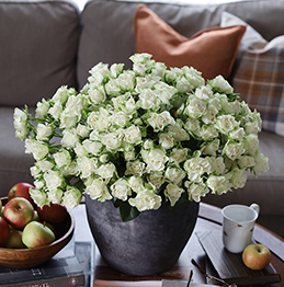 romantiske roser 2022 11-floriss.jpg