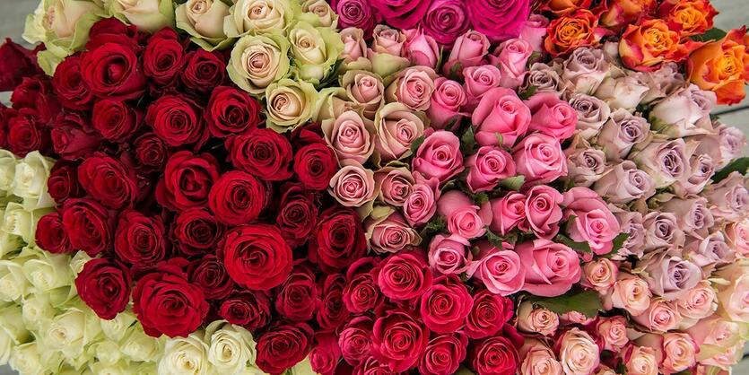 Si det med romantiske roser