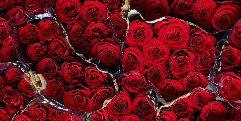 Blomster til valentinsdagen