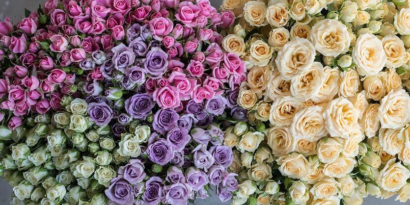 Spre glede, send et Floragram