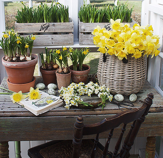 fyll-hjemmet-med-glade-paaskeblomster-2022-8.jpg