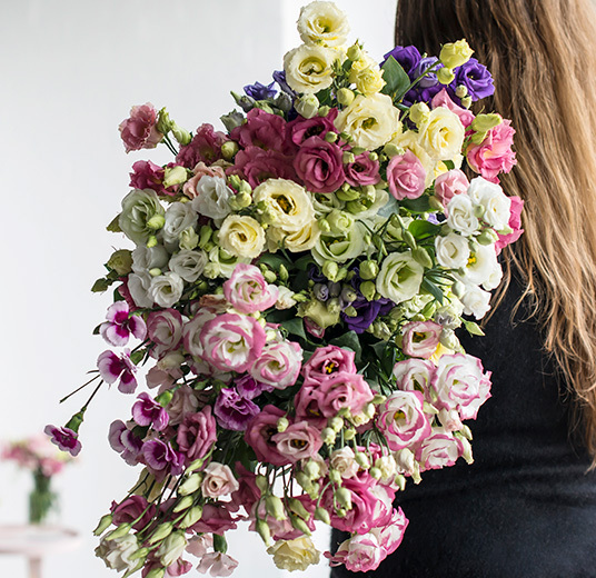 lisianthus-passer-til-alt-4.jpg