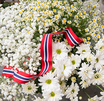 snittblomster-i-flaggets-farger-germini-brudesloer-tanacetum-17mai.jpg