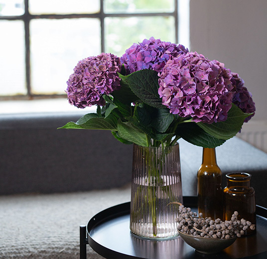 hortensia-i-vase-7-snitt-floriss-2022.jpg
